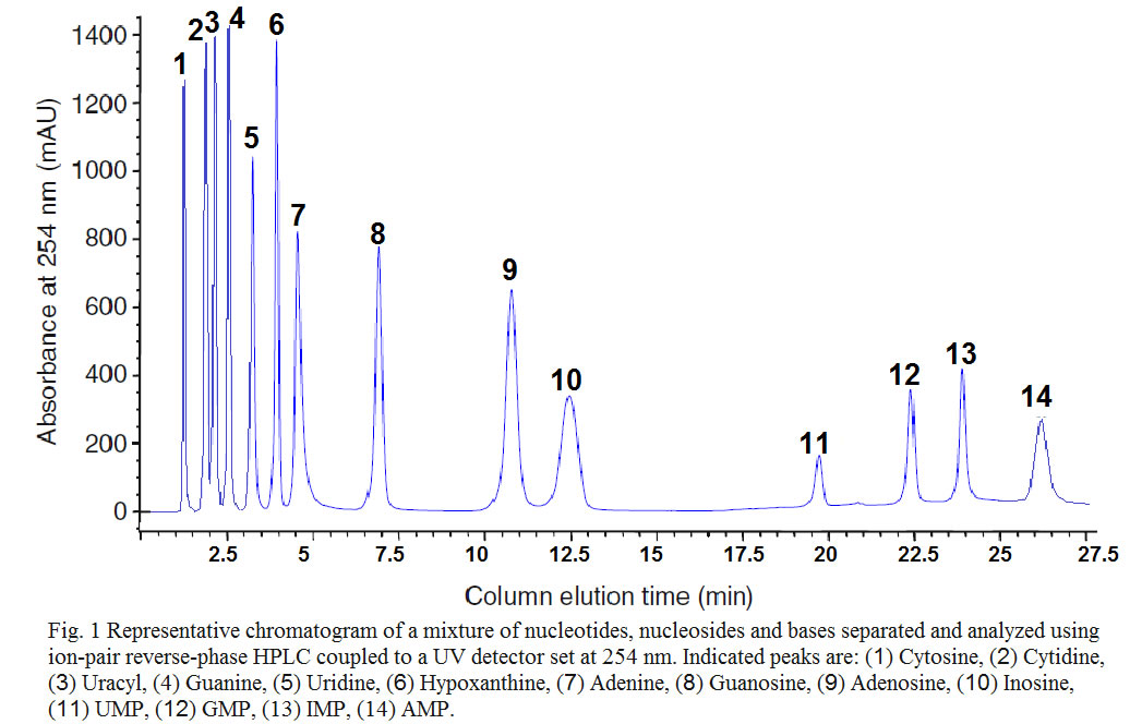 Nucleotide ion-pair reverse-phase HPLC